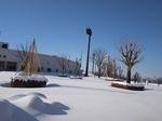 20210121_092739[1].jpg