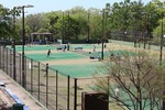 7846.jpg