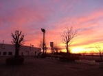 DSC01359.JPG