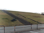 DSC01478.JPG