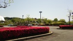 DSC_7589.JPG